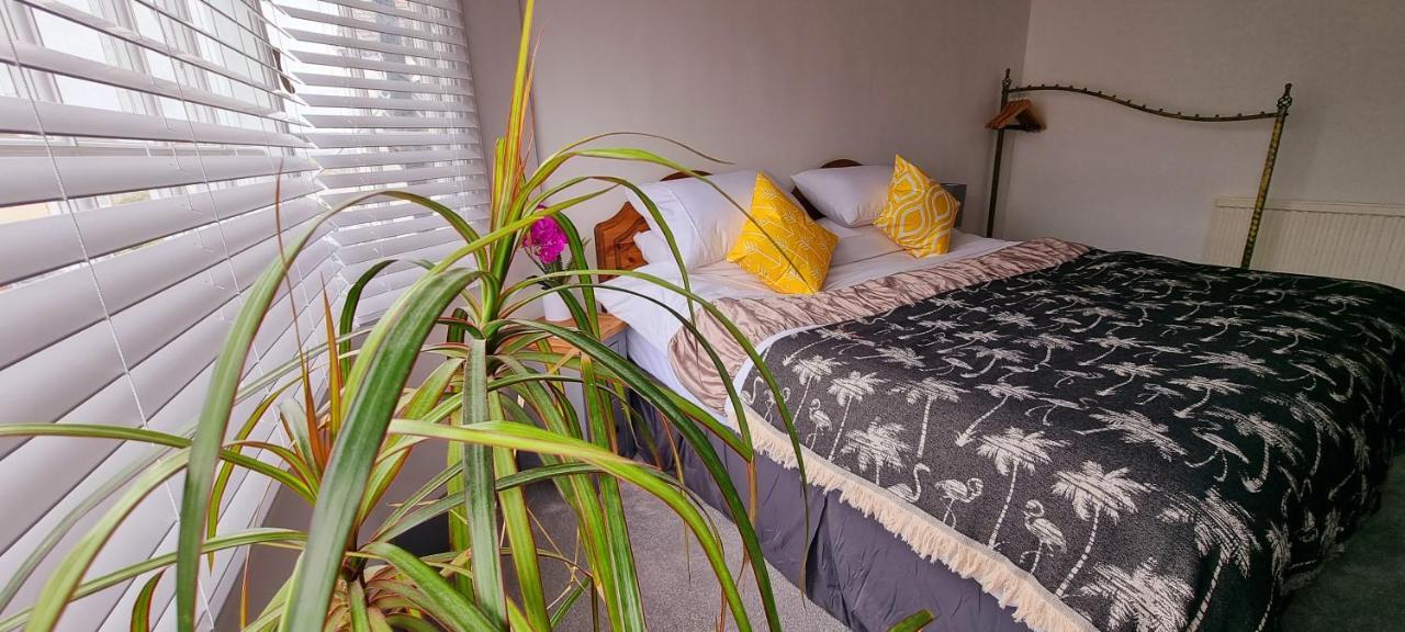 Hidden Gem Near The Beach With Pool Table New Quay Extérieur photo