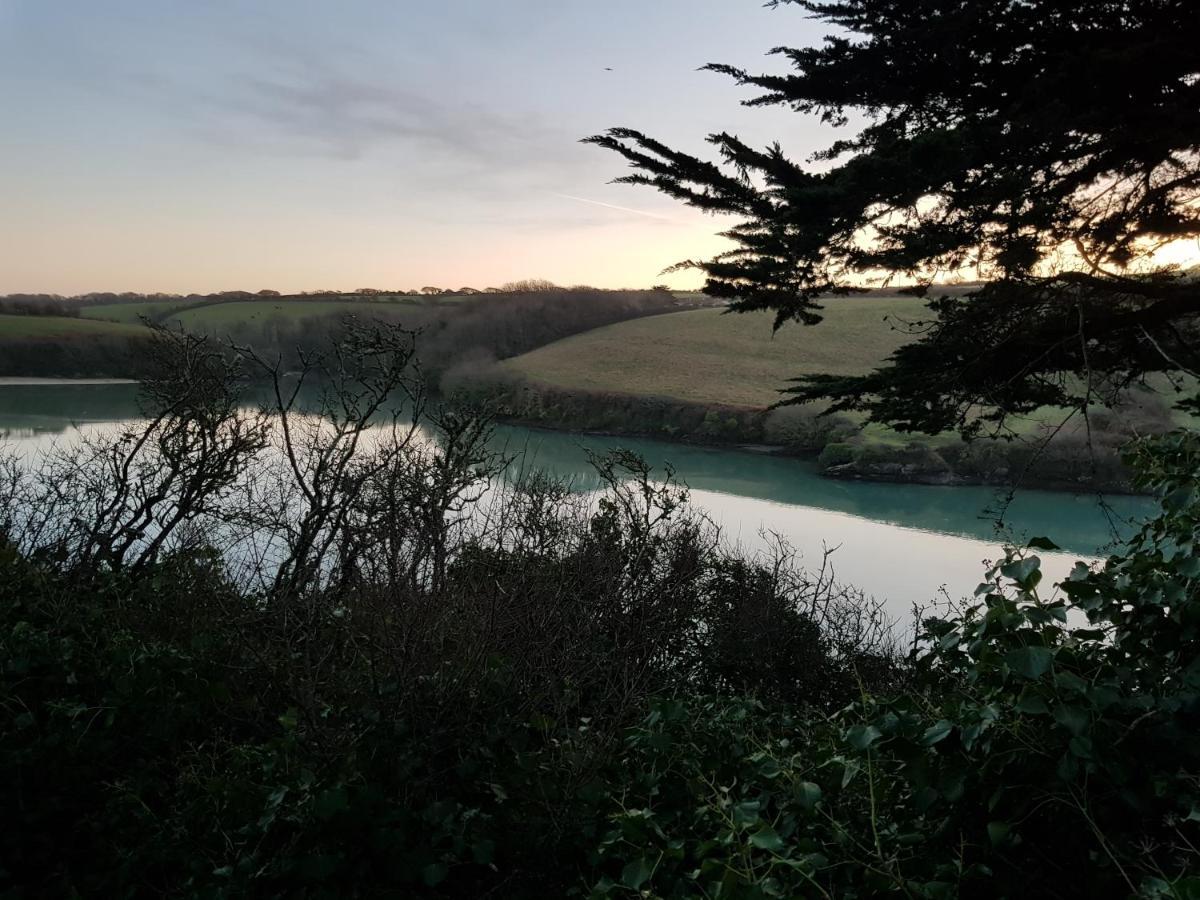 Hidden Gem Near The Beach With Pool Table New Quay Extérieur photo